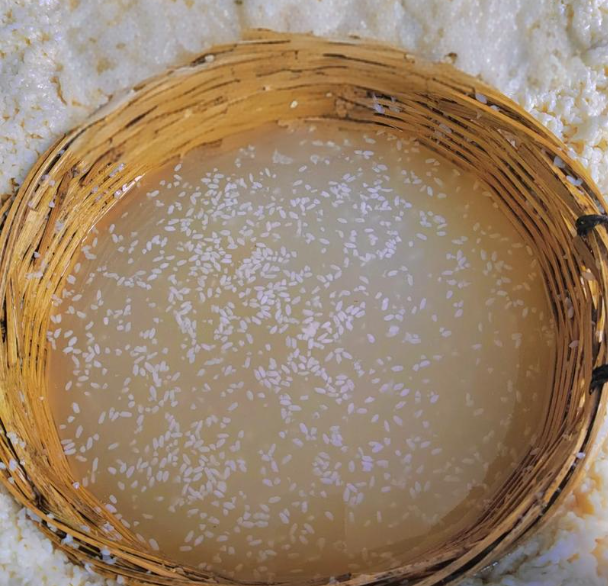 房县黄酒：传承千年的美味
